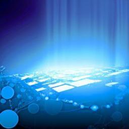 Practical Tips for Seamless Customs Clearance